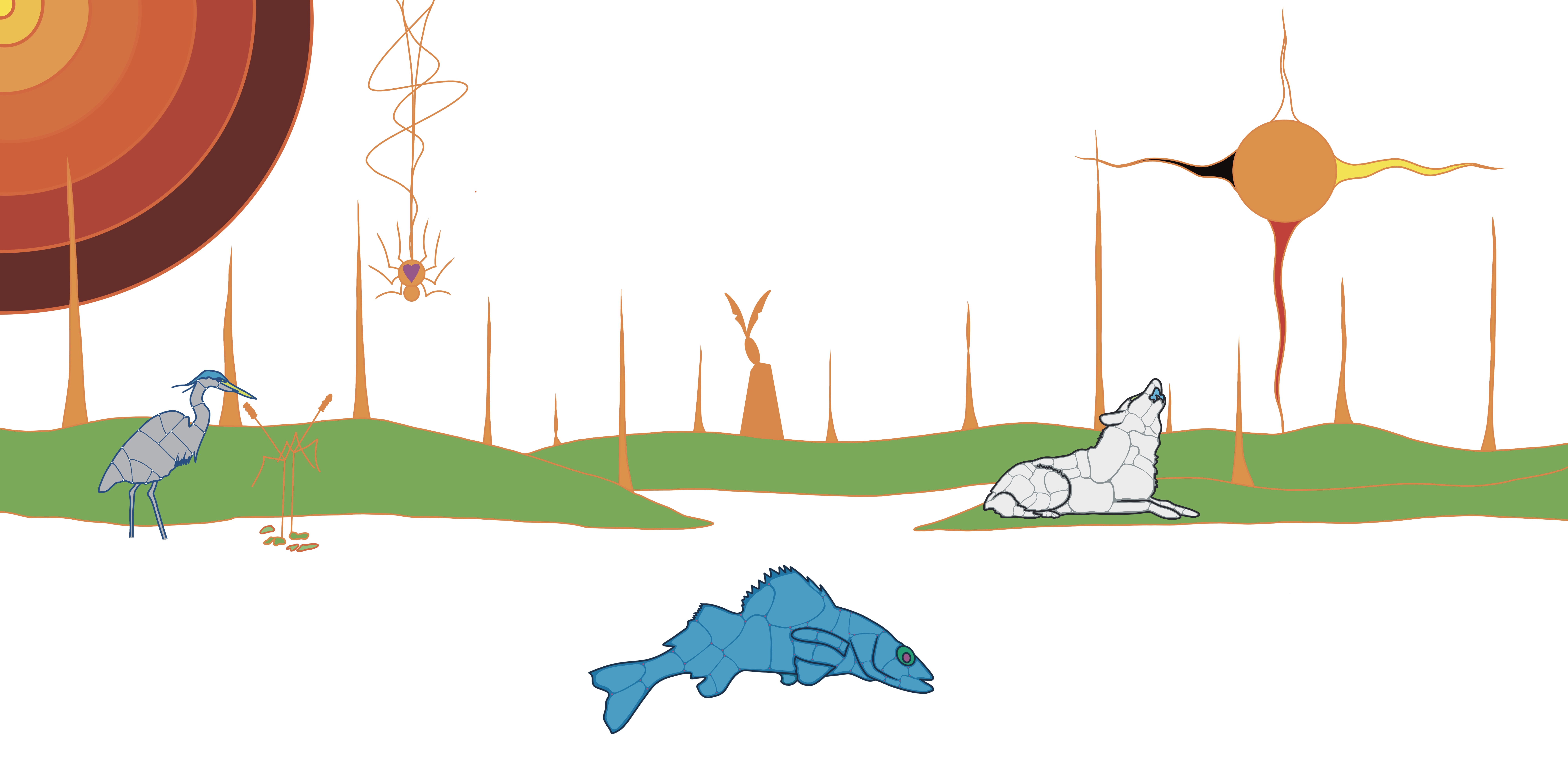 Original Indigenous artwork by Que Rock