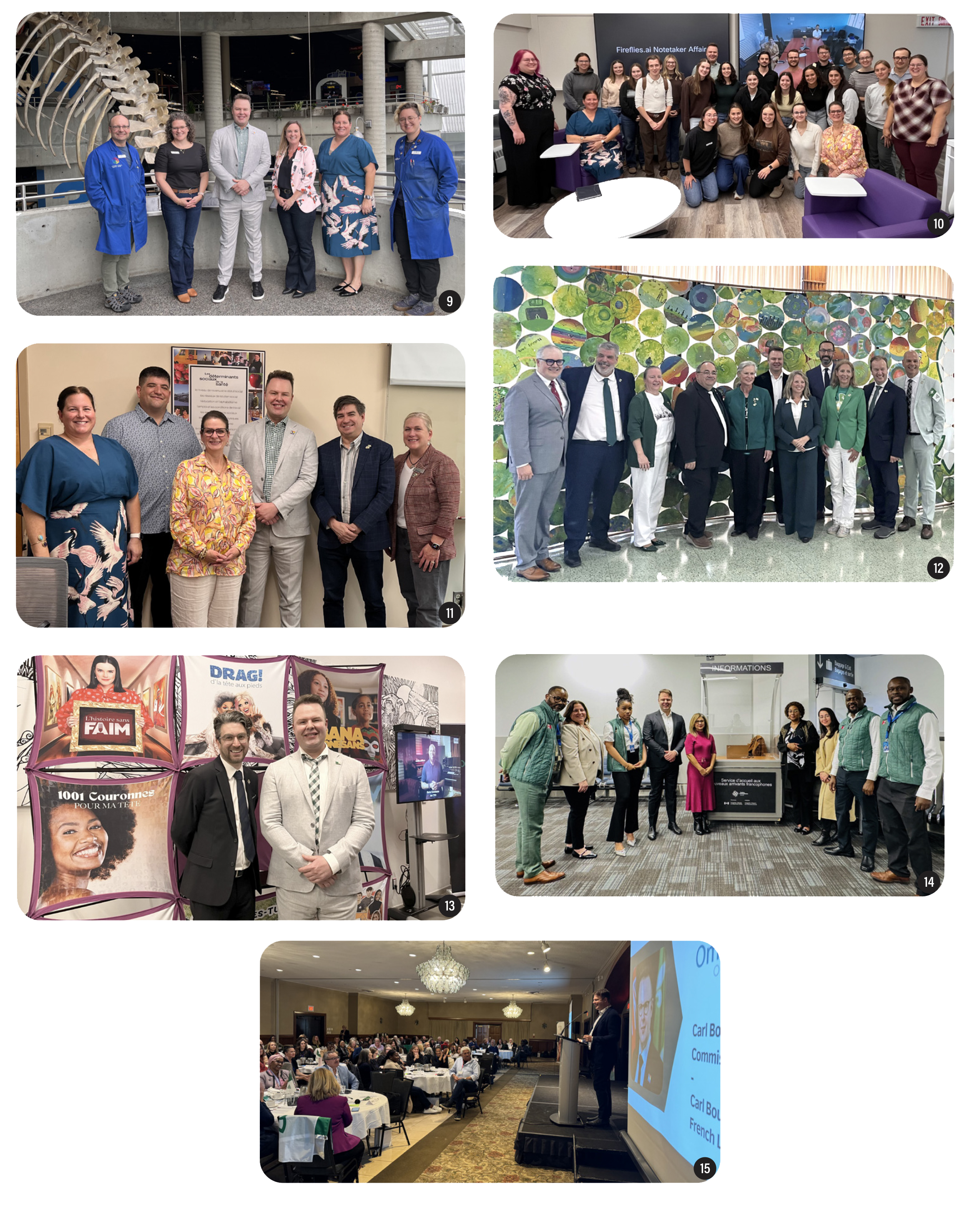 Collection of photos2