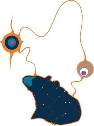 Original Indigenous artwork by Que Rock