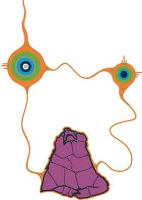 Original Indigenous artwork by Que Rock