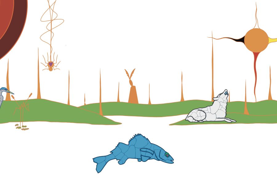 Original Indigenous artwork by Que Rock